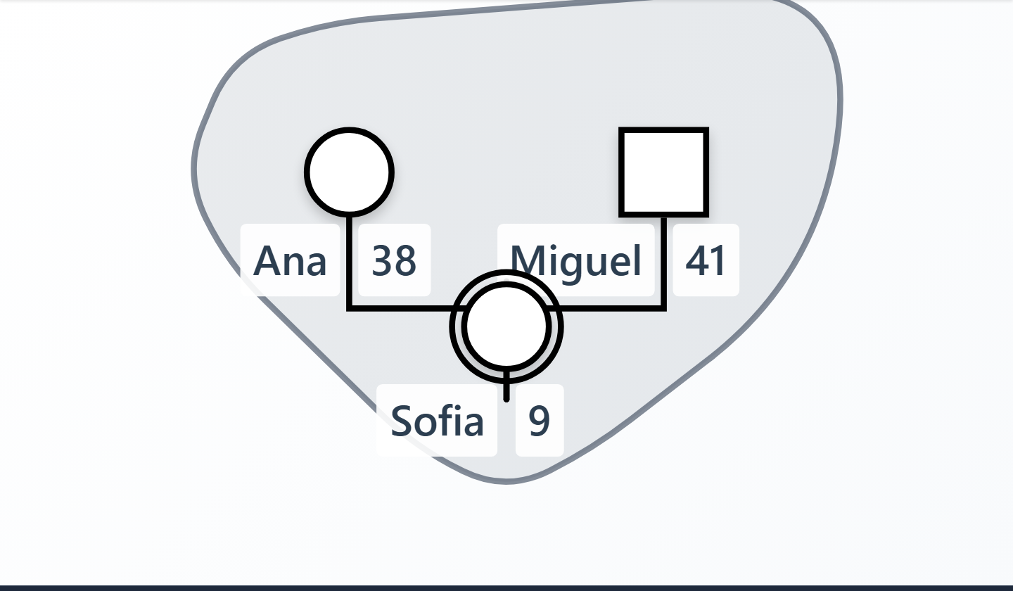 The WebGeno canvas showing three household members, Ana, Miguel and Sofia, enclosed in a single group box labelled Household