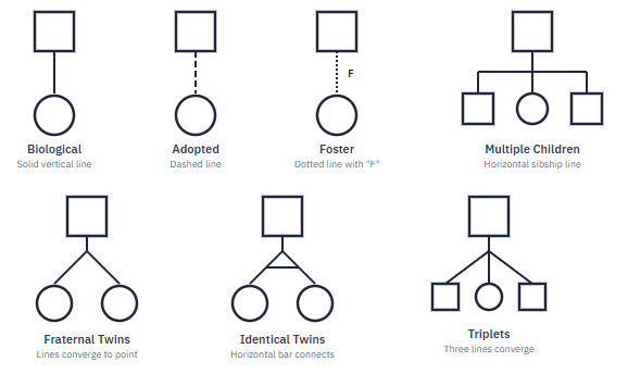 Genogram symbols guide