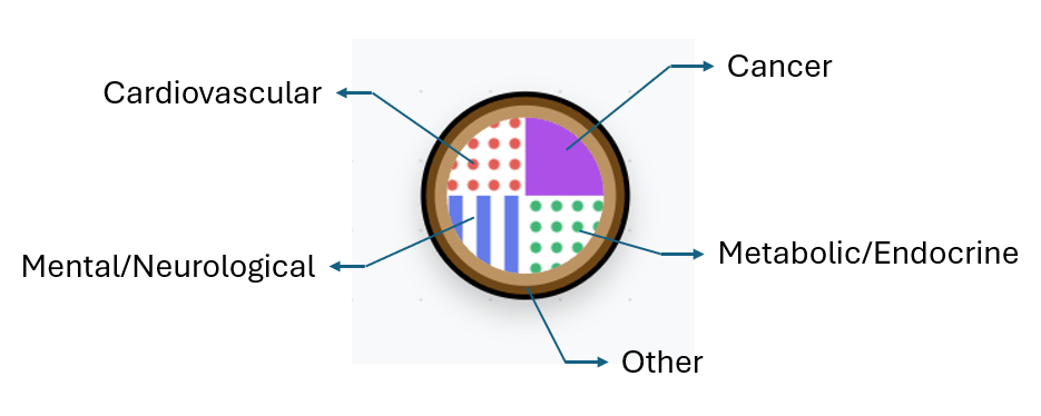 Health Conditions Quadrant System