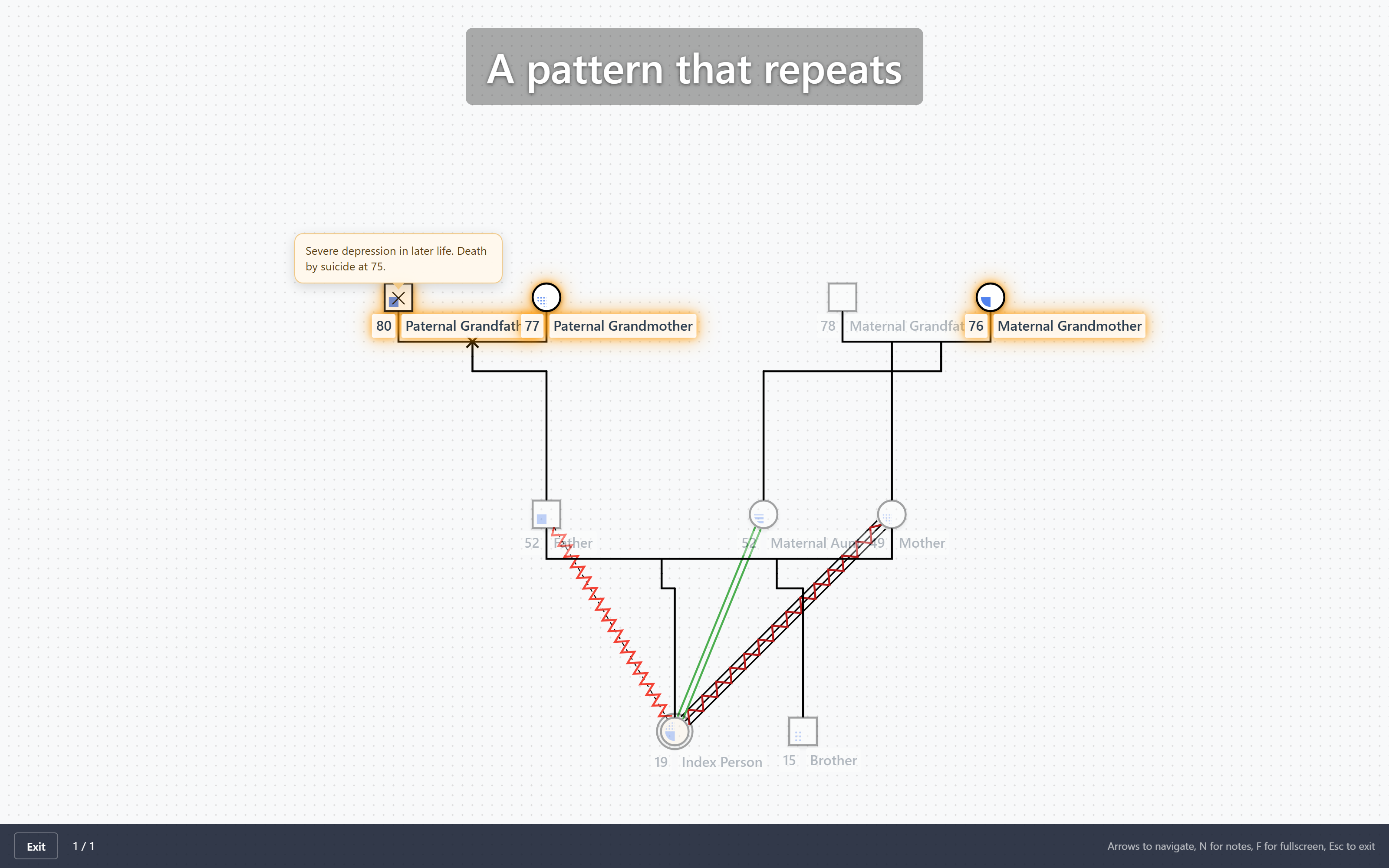 WebGeno Presentation Mode presenting a genogram full-screen with a spotlight and audience caption